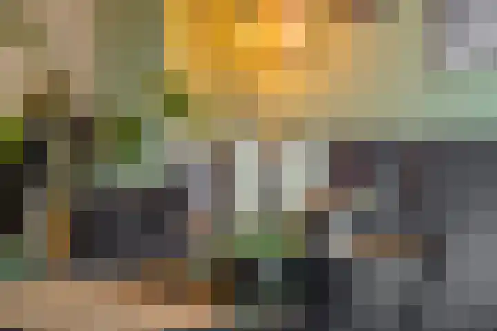 Elzenseloop 62 Heesch thumbnail 6