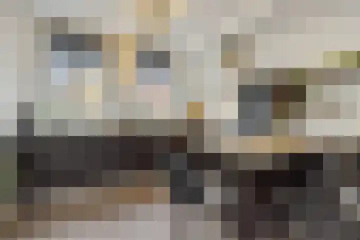Elzenseloop 62 Heesch thumbnail 7