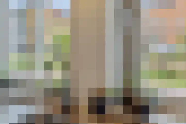 Elzenseloop 62 Heesch thumbnail 8