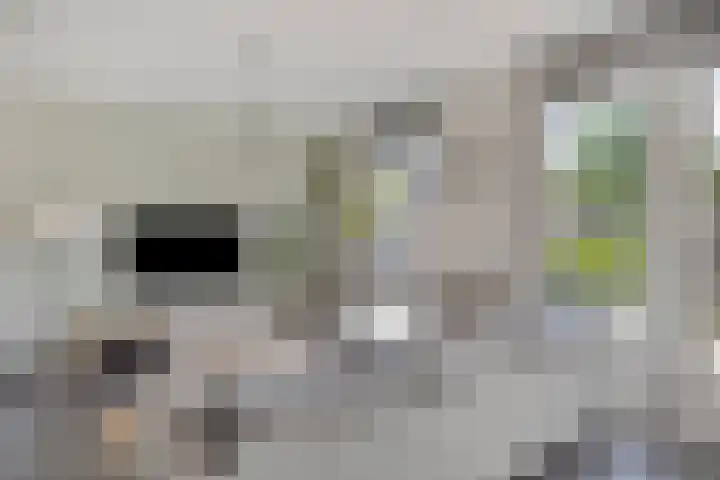 Elzenseloop 8 Heesch thumbnail 10