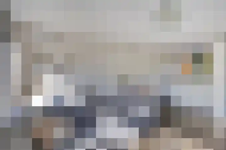 Elzenseloop 8 Heesch thumbnail 12
