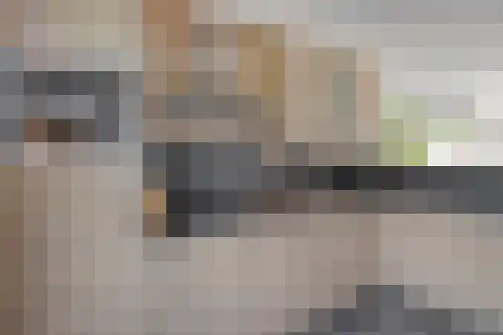 Elzenseloop 8 Heesch thumbnail 20