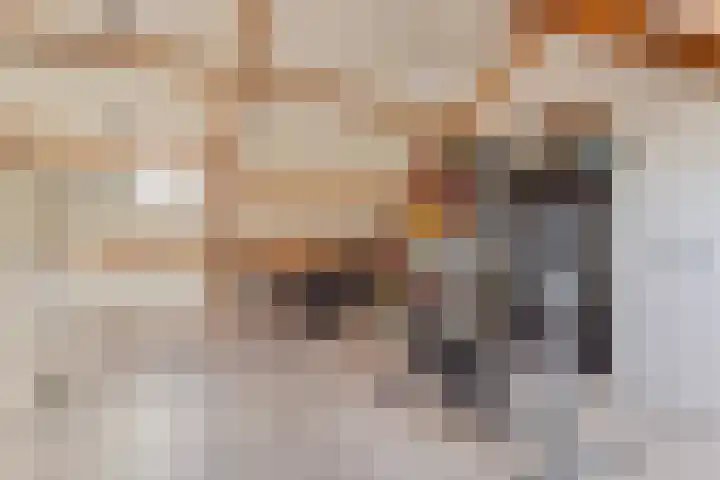 Elzenseloop 8 Heesch thumbnail 30
