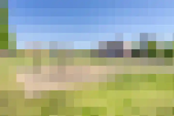 Elzenseloop 8 Heesch thumbnail 36