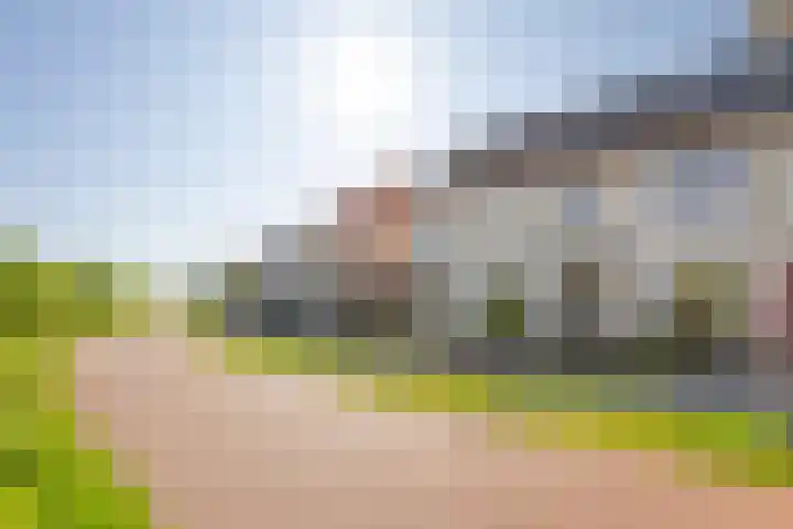 Elzenseloop 8 Heesch thumbnail 38