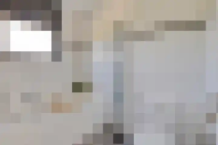 Elzenseloop 8 Heesch thumbnail 4