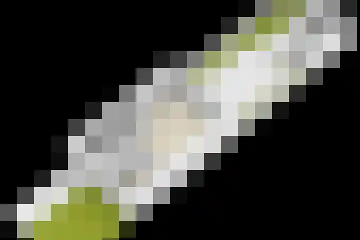 Elzenseloop 8 Heesch thumbnail 41
