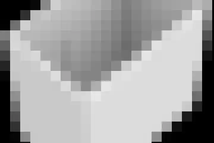 Elzenseloop 8 Heesch thumbnail 49