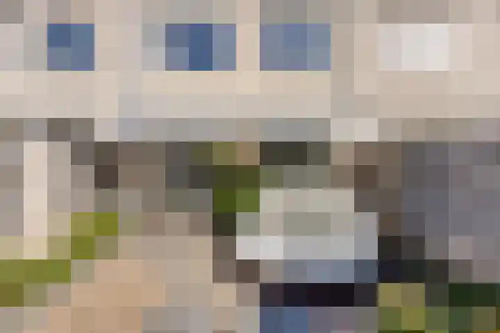 Elzenseloop 8 Heesch thumbnail 5