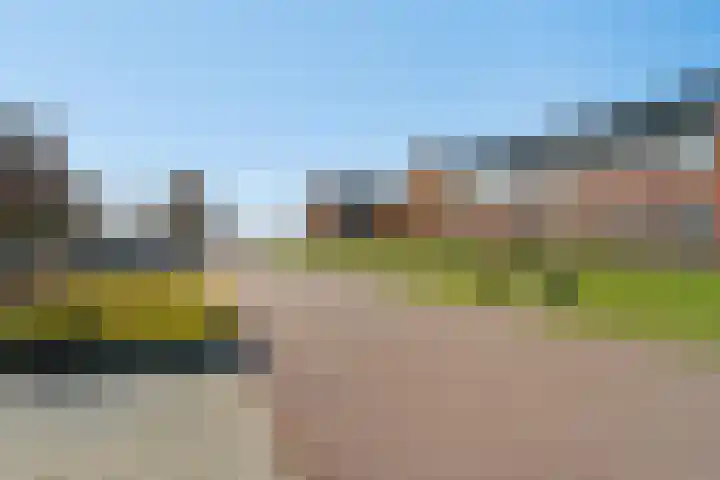 Elzensingel 10 Nieuw-Beijerland thumbnail 25
