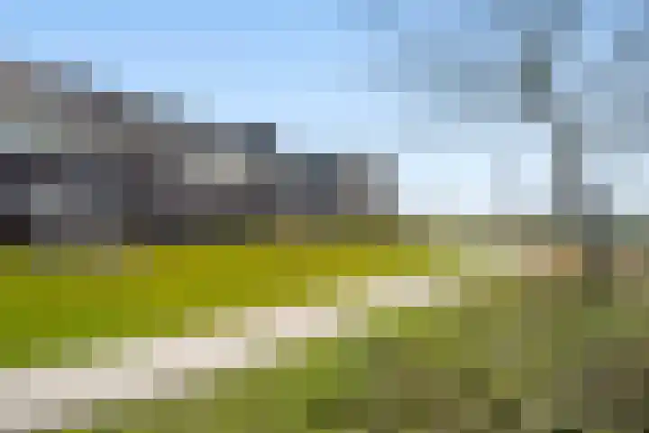 Elzensingel 10 Nieuw-Beijerland thumbnail 27