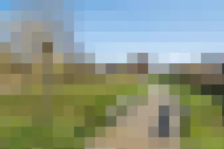 Elzensingel 10 Nieuw-Beijerland thumbnail 28