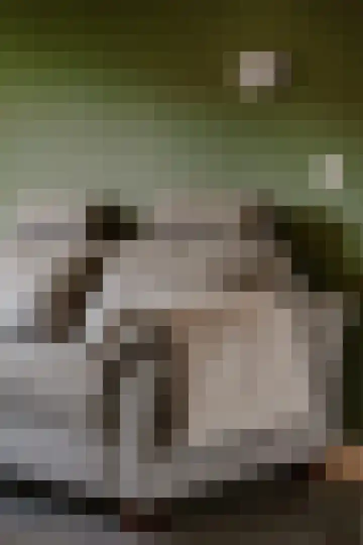 Elzensingel 22 Meerkerk thumbnail 13