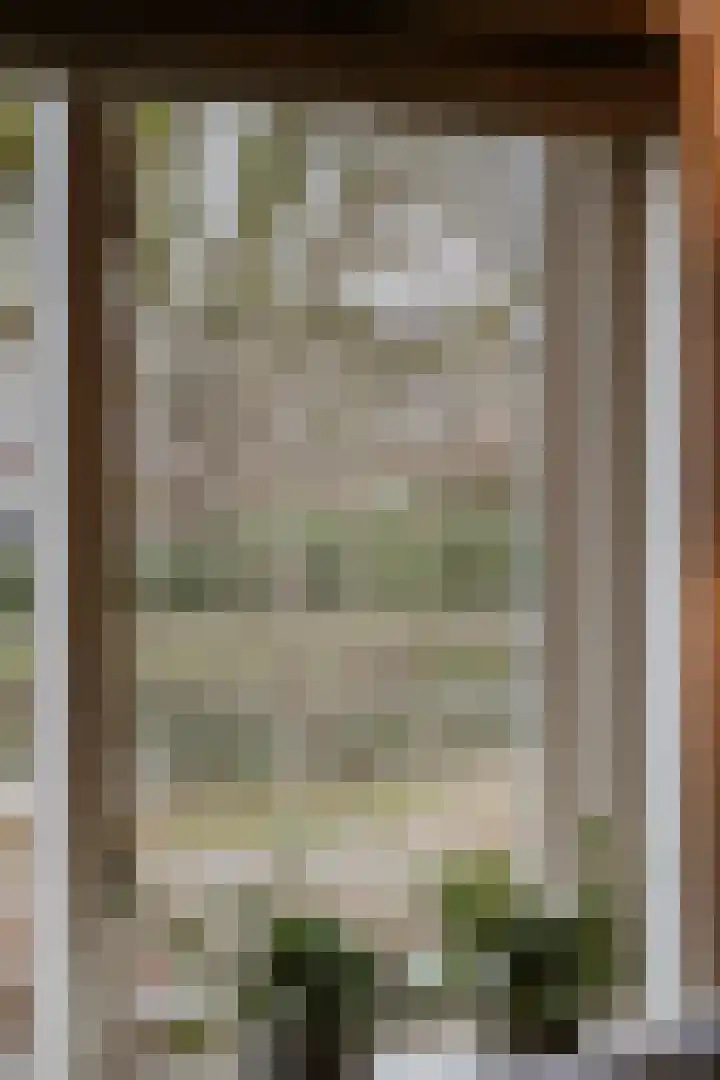 Elzensingel 22 Meerkerk thumbnail 15