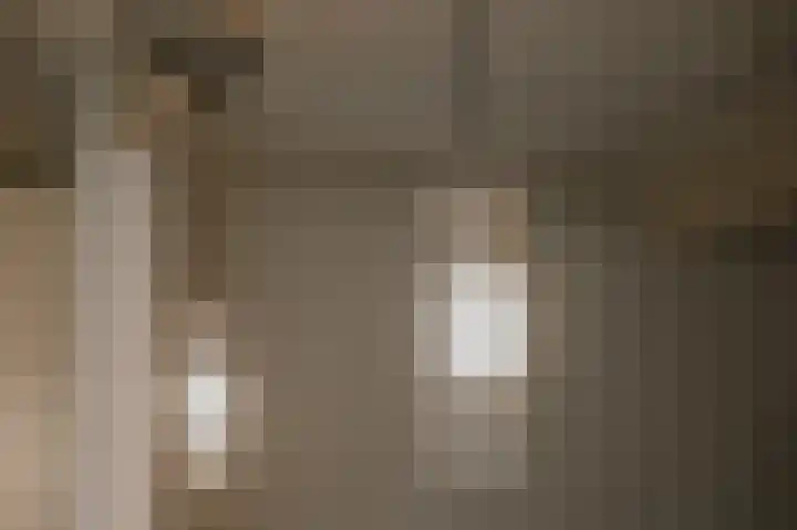 Elzensingel 22 Meerkerk thumbnail 19