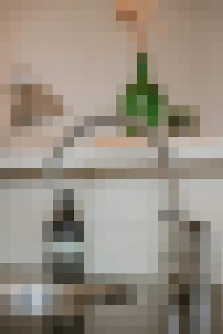 Elzensingel 22 Meerkerk thumbnail 21
