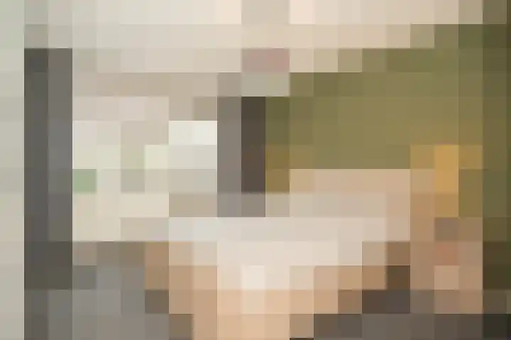 Elzensingel 22 Meerkerk thumbnail 27