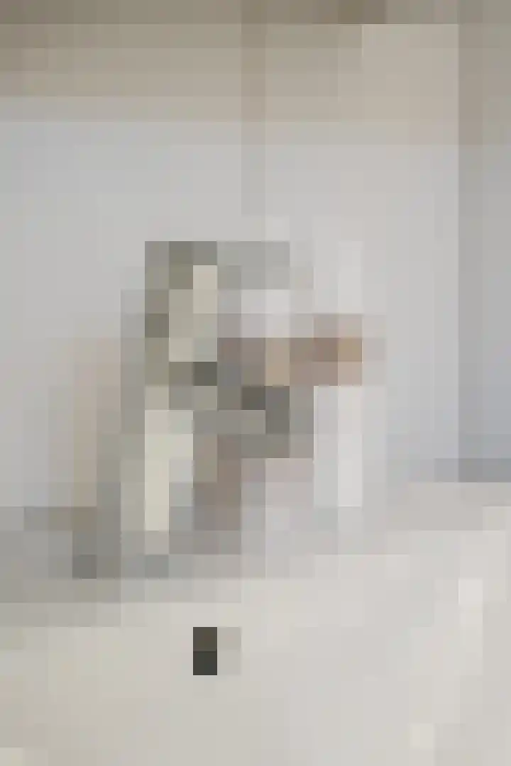 Elzensingel 22 Meerkerk thumbnail 32