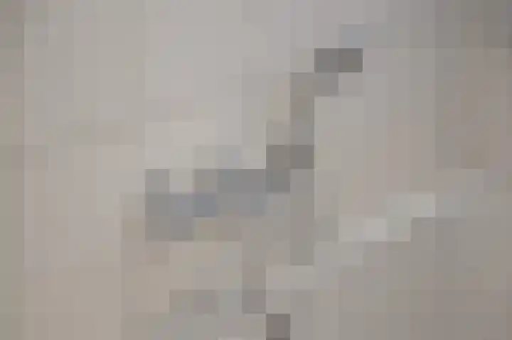 Elzensingel 22 Meerkerk thumbnail 34