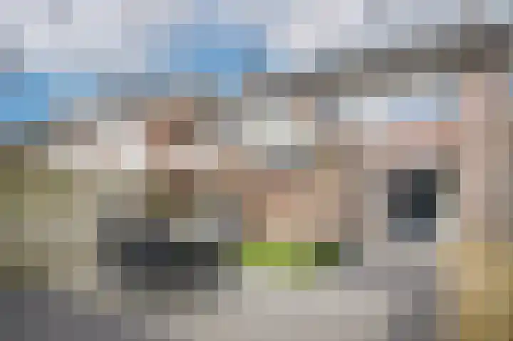 Elzensingel 22 Meerkerk thumbnail 38