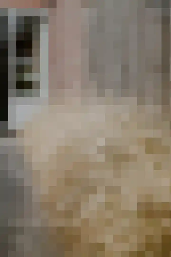 Elzensingel 22 Meerkerk thumbnail 39