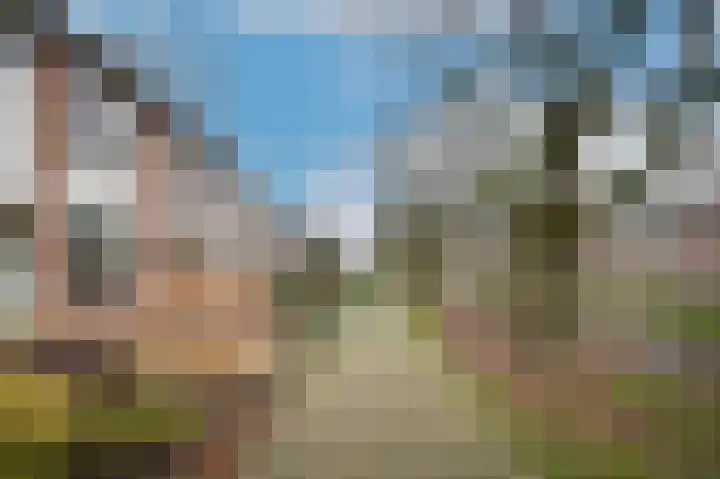 Elzensingel 22 Meerkerk thumbnail 44