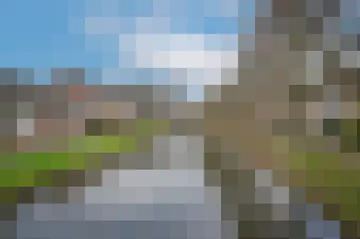 Elzensingel 22 Meerkerk thumbnail 45