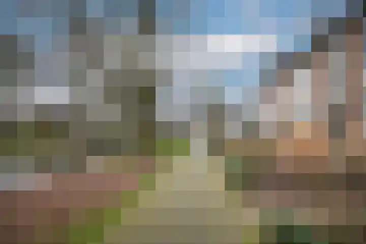 Elzensingel 22 Meerkerk thumbnail 46