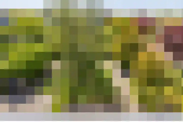 Elzenslag 1 Roden thumbnail 36
