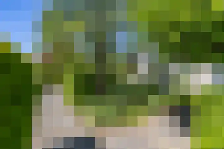Elzenslag 1 Roden thumbnail 40