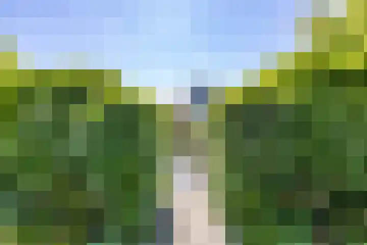 Elzenslag 1 Roden thumbnail 41