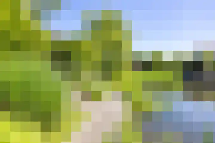 Elzenslag 1 Roden thumbnail 43