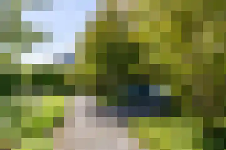 Elzenslag 1 Roden thumbnail 44