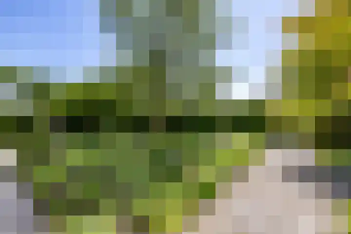 Elzenslag 1 Roden thumbnail 45