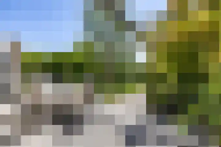 Elzenslag 1 Roden thumbnail 46