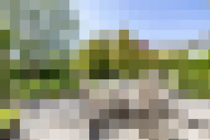 Elzenslag 1 Roden thumbnail 47