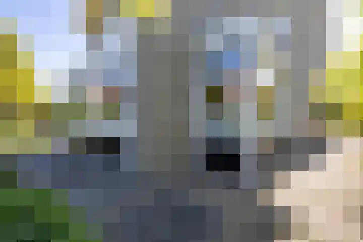 Elzenslag 1 Roden thumbnail 48