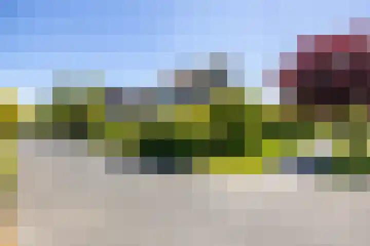 Elzenslag 1 Roden thumbnail 49