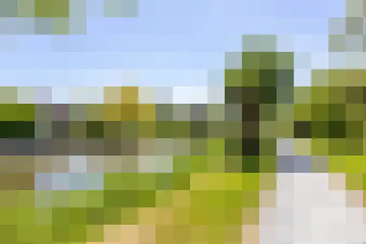 Elzenslag 1 Roden thumbnail 50