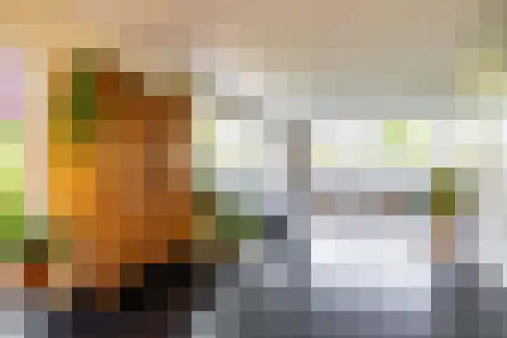 Elzenslag 1 Roden thumbnail 7
