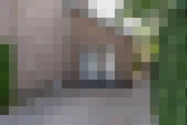 Elzenstraat 1 Kerkdriel thumbnail 10