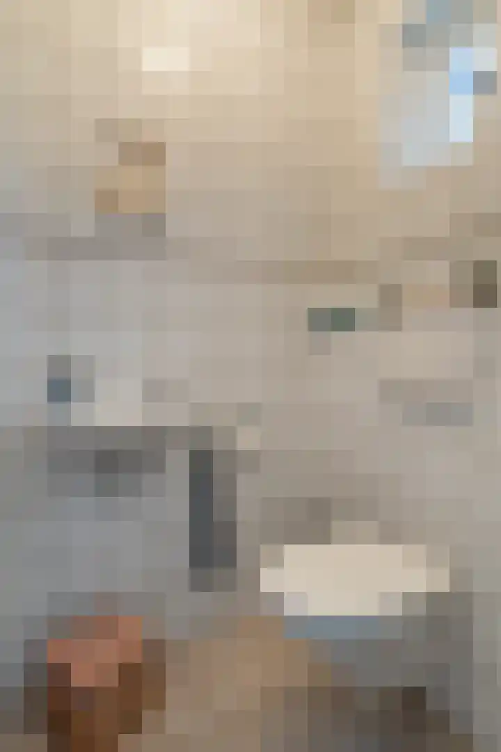 Elzenstraat 1 Kerkdriel thumbnail 12