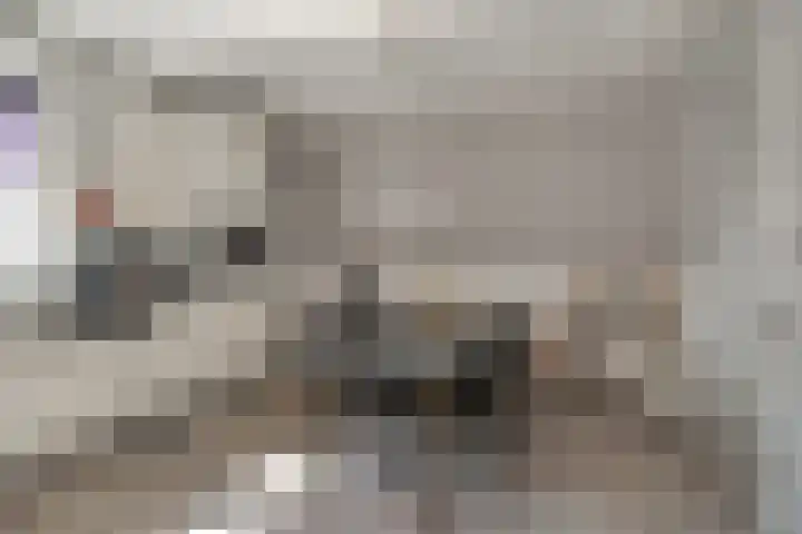 Elzenstraat 1 Kerkdriel thumbnail 24
