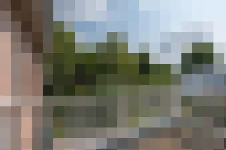 Elzenstraat 1 Kerkdriel thumbnail 32