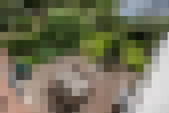 Elzenstraat 1 Kerkdriel thumbnail 33