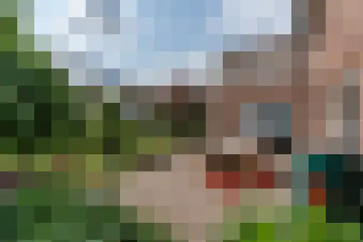 Elzenstraat 1 Kerkdriel thumbnail 34