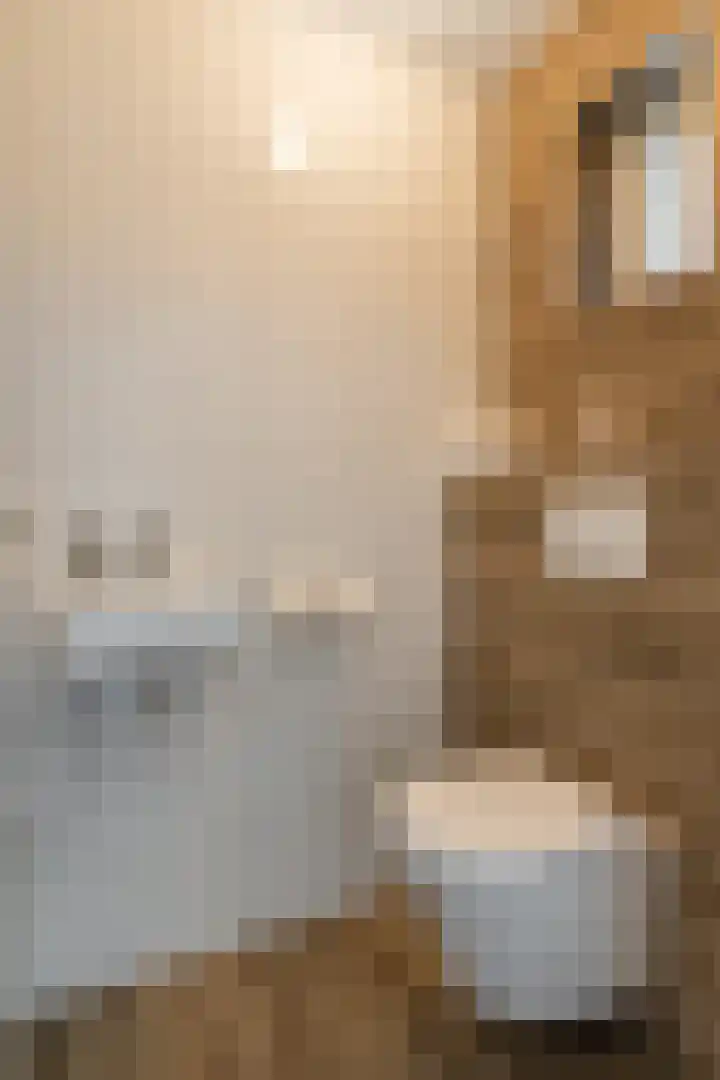 Elzenstraat 1 Kerkdriel thumbnail 8