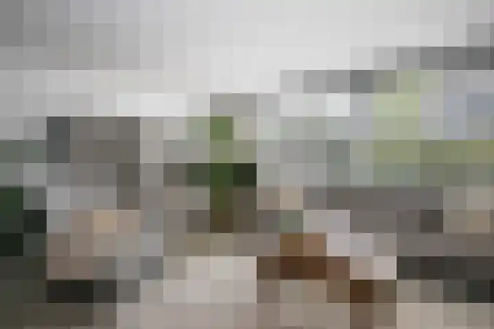 Elzenstraat 10 Schoonhoven thumbnail 12