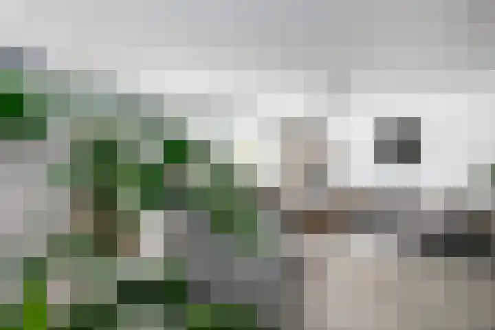 Elzenstraat 10 Schoonhoven thumbnail 13