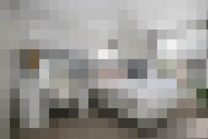 Elzenstraat 10 Schoonhoven thumbnail 27